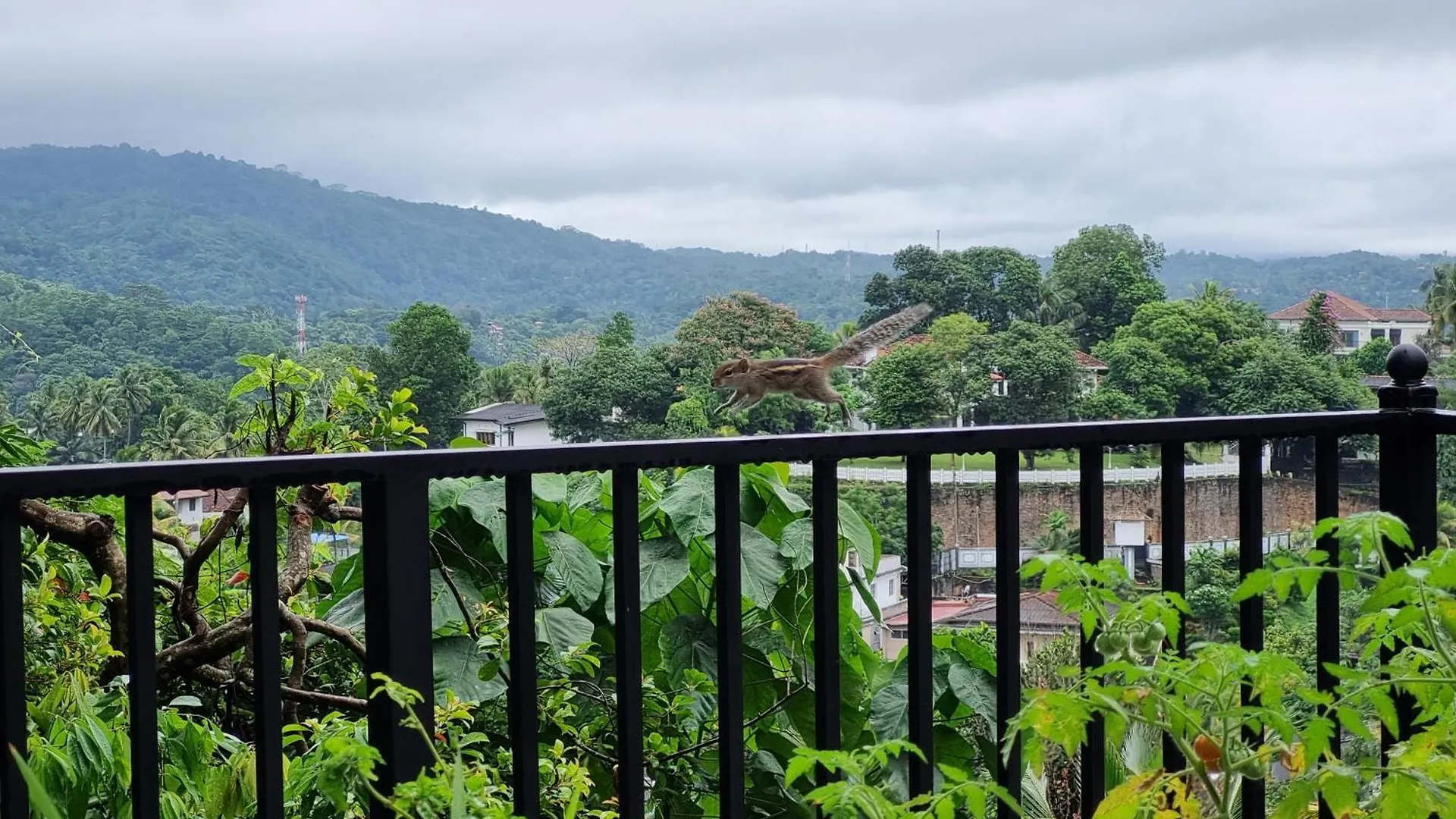 Inn Squirrel'S Nest Hotel Kandy