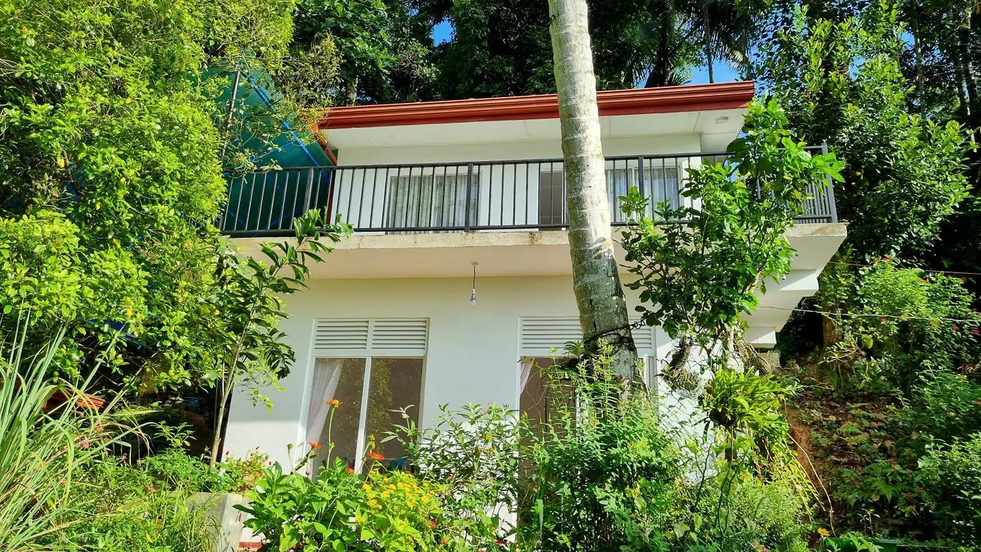 Inn Squirrel'S Nest Hotel Kandy